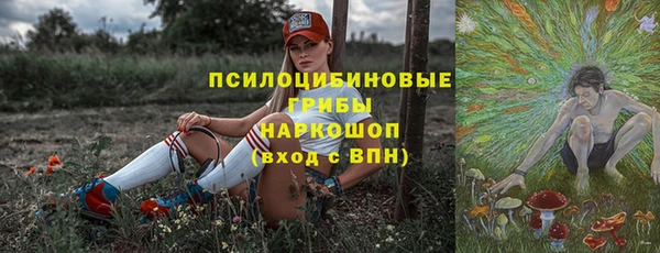 ПСИЛОЦИБИНОВЫЕ ГРИБЫ Алексин