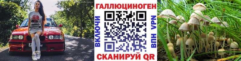 где купить   Белебей  МЕГА зеркало  Псилоцибиновые грибы Cubensis 